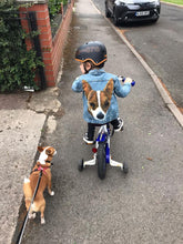 Load image into Gallery viewer, Children's Custom Pet Portrait Hand-Painted Denim Jacket - 0-14 years