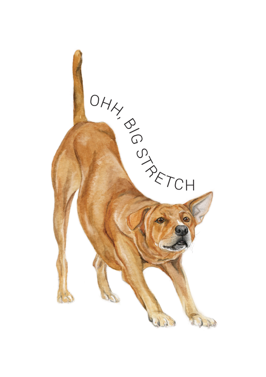 Oh Big Stretch - Art Print