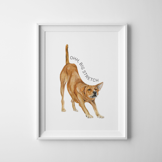 Oh Big Stretch - Art Print