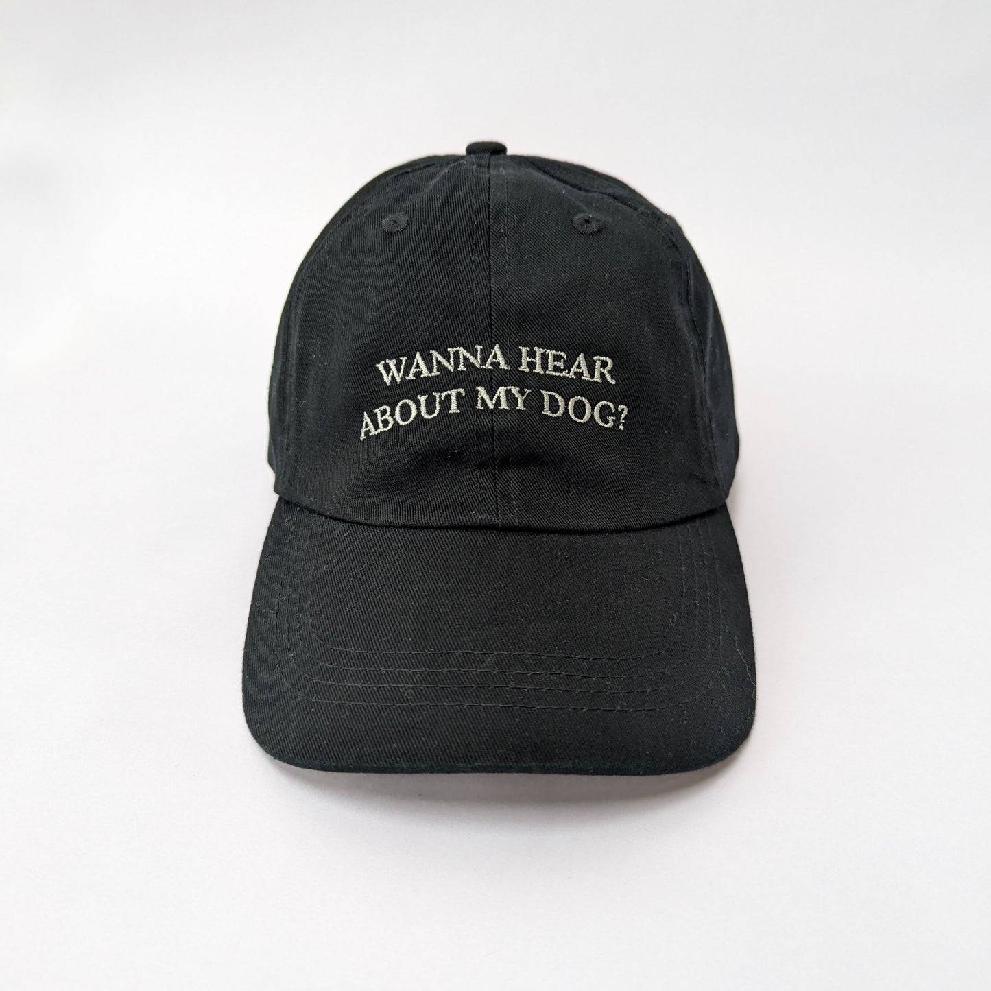 "Wanna hear about my dog?" - Embroidered Dad Cap