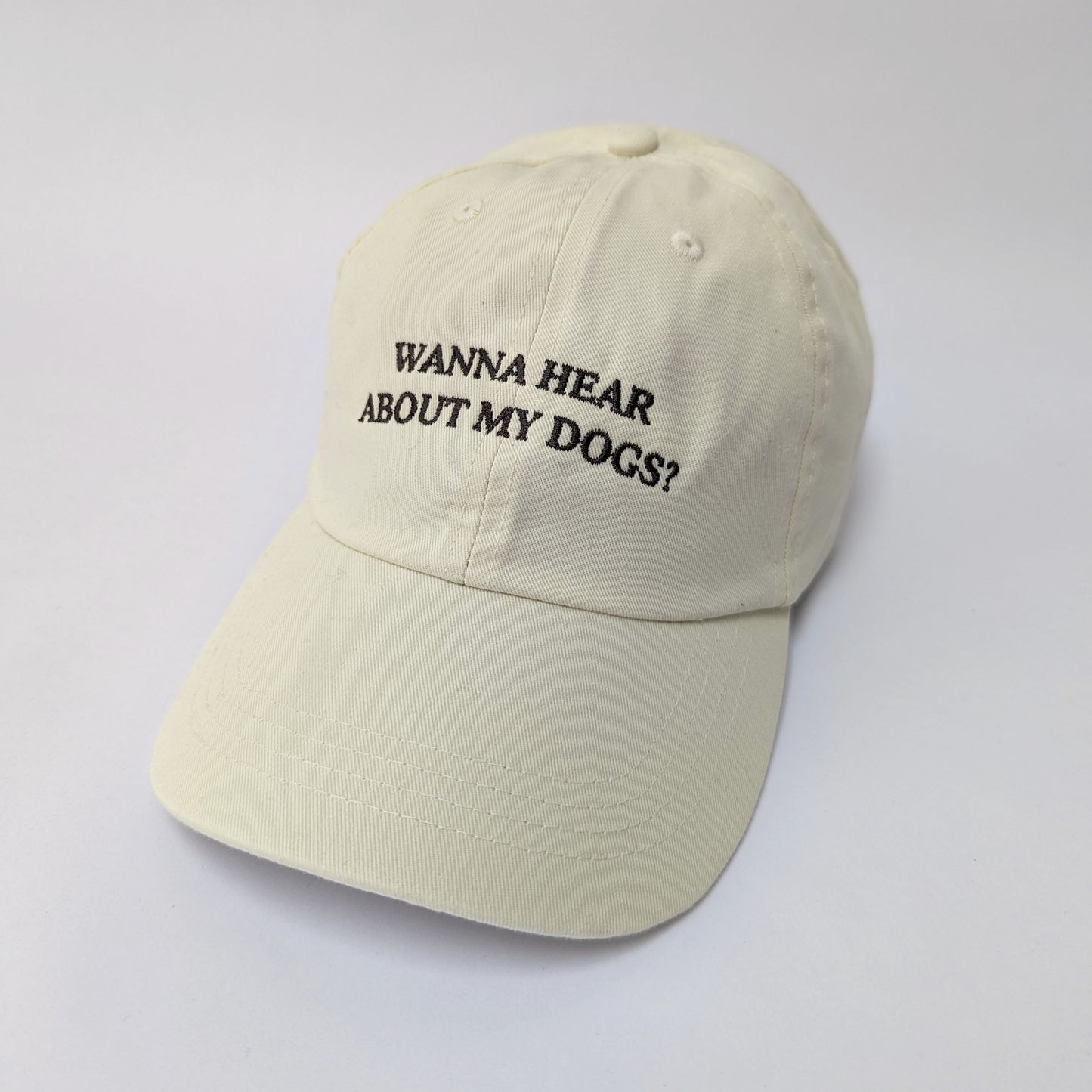 "Wanna hear about my dog?" - Embroidered Dad Cap