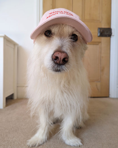 "Wanna hear about my dog?" - Embroidered Dad Cap