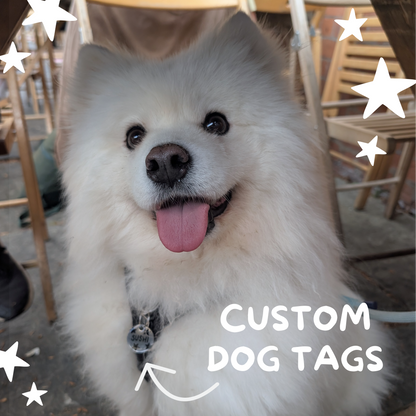 Custom Dog Tag