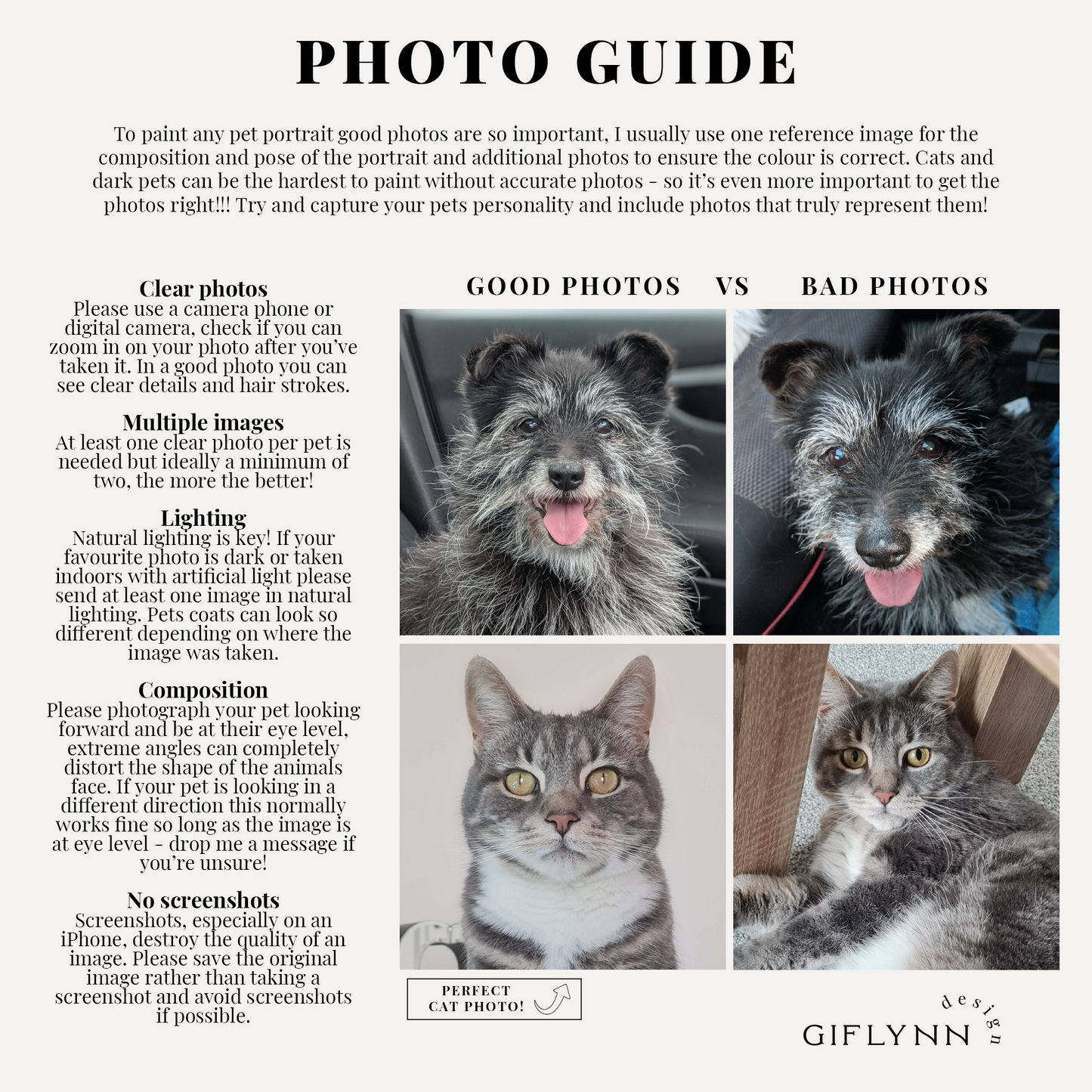 Pet Portrait Shoes, Trainers/Sneakers