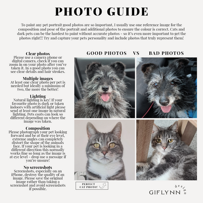 Pet Portrait Shoes, Trainers/Sneakers