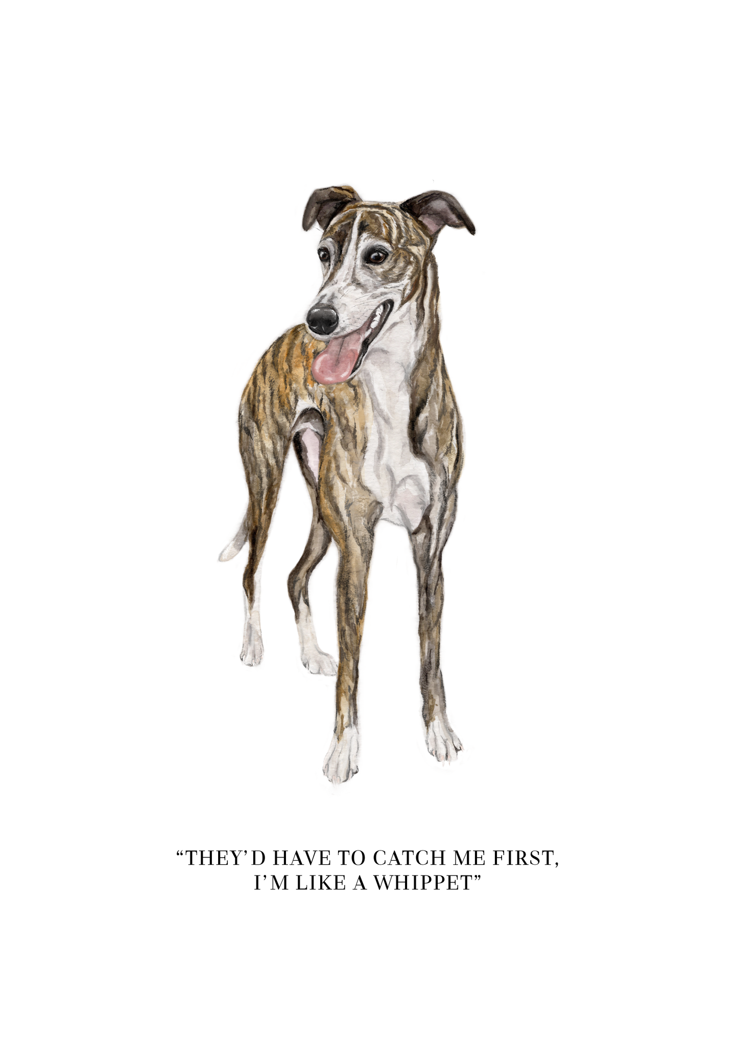 Like a Whippet - Art Print